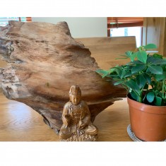 Wooden Handicrafts Sculpture Handcrafted Wood Vietnam Products For Decor Made in Vietnam For Wholesale