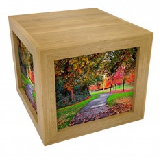High quality Vietnam Supplier Custom New style for home decoration wooden picture frame box